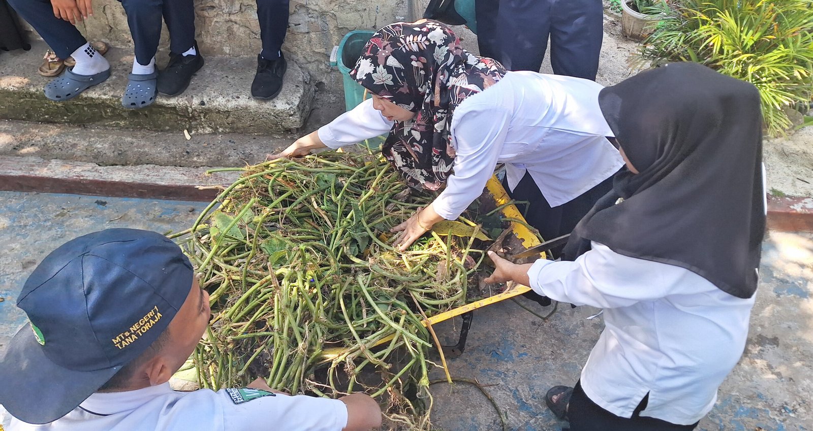 Tempat sampah organik terpisah