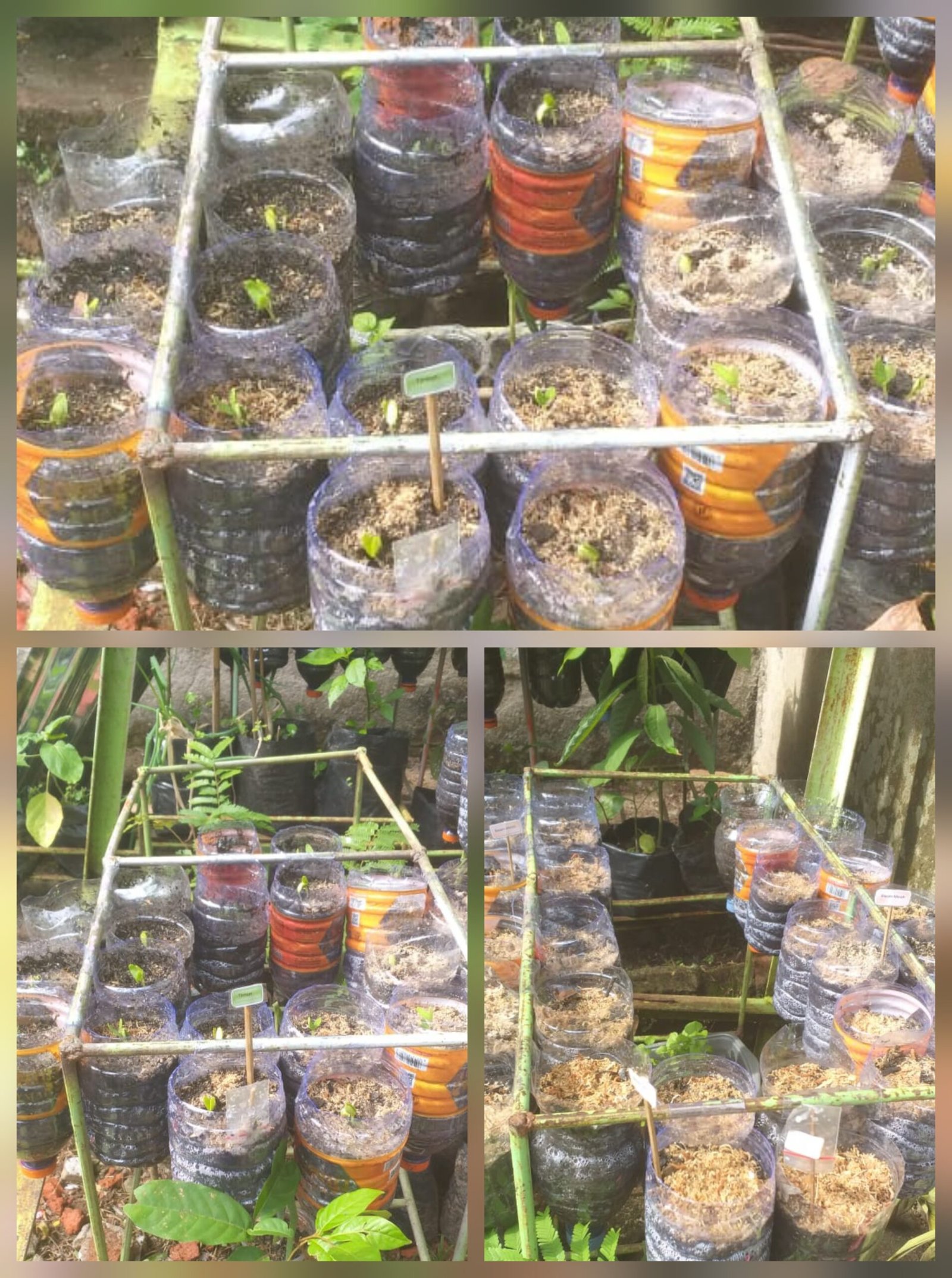 Siswa menyortir dan memilah sampah