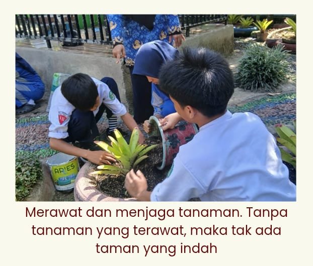 Papan Nama Edukasi Tumbuhan